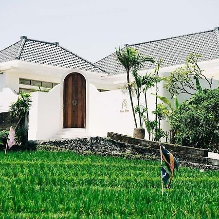 New Design Villa Casa Alma 3Bdr With Private Pool, Canggu Esterno foto